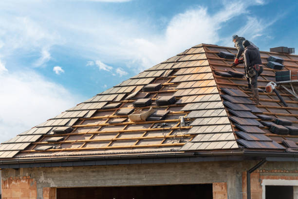 Best Roof Maintenance and Cleaning  in Fox Chase, PA